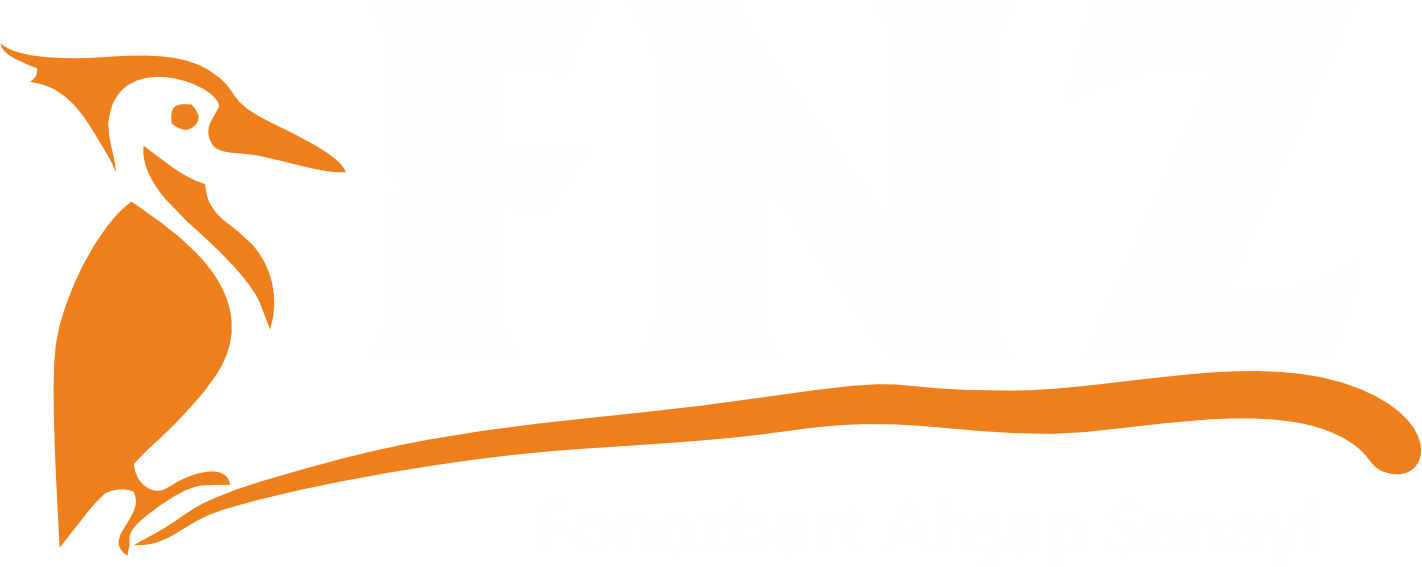 FNZ Logo